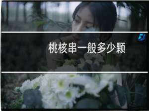 桃核串一般多少颗