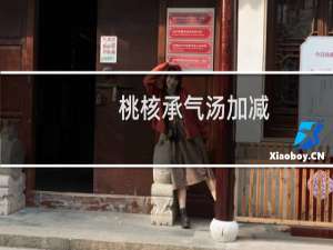 桃核承气汤加减(关于桃核承气汤加减的简介)