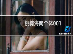 桃棕海南个体001(关于桃棕海南个体001的简介)