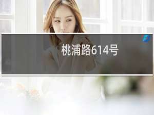 桃浦路614号(关于桃浦路614号的简介)