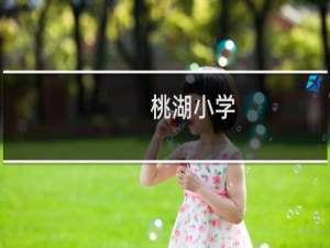 桃湖小学(关于桃湖小学的简介)