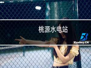 桃源水电站(关于桃源水电站的简介)