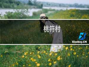 桃符村(关于桃符村的简介)