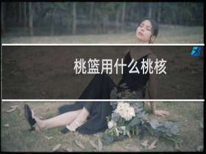 桃篮用什么桃核