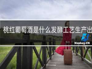 桃红葡萄酒是什么发酵工艺生产出来的