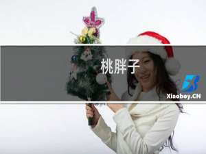 桃胖子(关于桃胖子的简介)