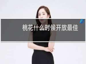 桃花什么时候开放最佳（桃花什么时候开花结果）