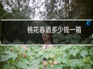 桃花春酒多少钱一箱
