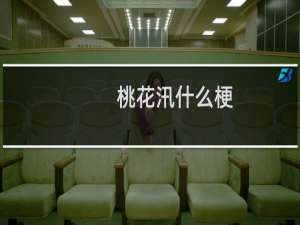 桃花汛什么梗