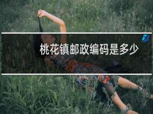 桃花镇邮政编码是多少