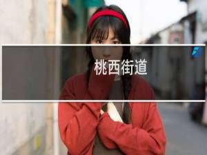 桃西街道(关于桃西街道的简介)