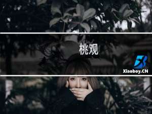 桃观(关于桃观的简介)