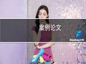 案例论文
