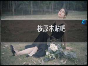桉原木贴吧