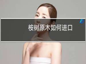 桉树原木如何进口