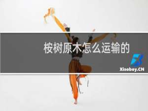 桉树原木怎么运输的