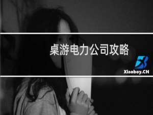 桌游电力公司攻略