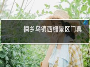 桐乡乌镇西栅景区门票