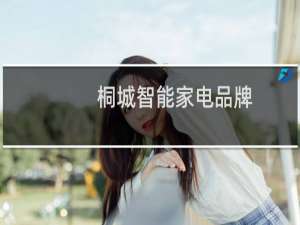 桐城智能家电品牌