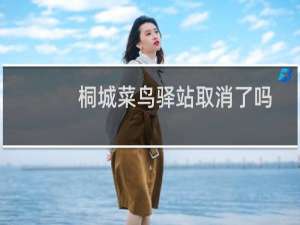 桐城菜鸟驿站取消了吗