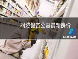 桐城银杏公寓最新房价