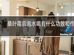 桑叶霜后泡水喝有什么功效和作用