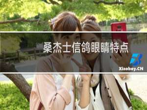 桑杰士信鸽眼睛特点
