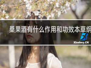 桑果酒有什么作用和功效本草纲目