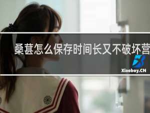 桑葚怎么保存时间长又不破坏营养