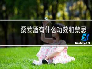 桑葚酒有什么功效和禁忌