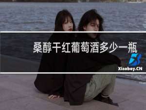 桑醇干红葡萄酒多少一瓶