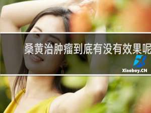 桑黄治肿瘤到底有没有效果呢