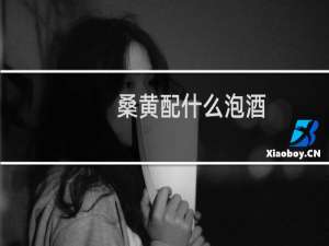 桑黄配什么泡酒