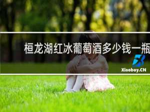 桓龙湖红冰葡萄酒多少钱一瓶