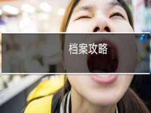 档案攻略