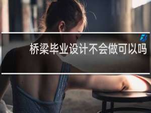 桥梁毕业设计不会做可以吗
