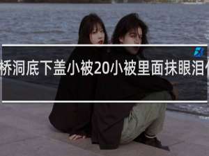 桥洞底下盖小被 小被里面抹眼泪什么梗
