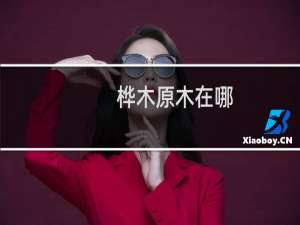 桦木原木在哪