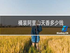 桶装阿里山天香多少钱