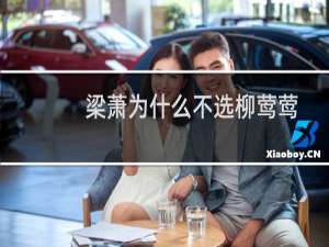 梁萧为什么不选柳莺莺（梁萧）