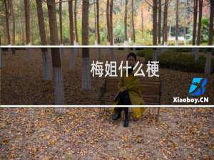 梅姐什么梗