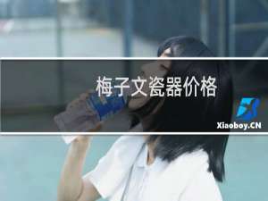 梅子文瓷器价格