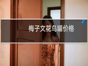 梅子文花鸟罐价格