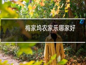 梅家坞农家乐哪家好