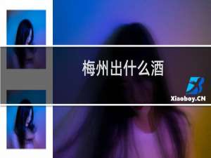 梅州出什么酒