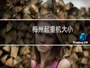 梅州起重机大小