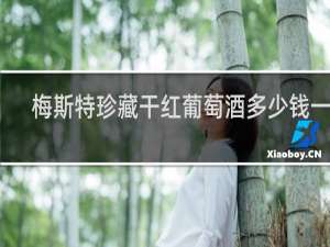 梅斯特珍藏干红葡萄酒多少钱一瓶