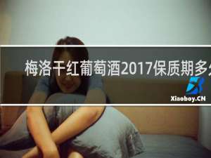 梅洛干红葡萄酒2017保质期多久