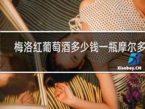 梅洛红葡萄酒多少钱一瓶摩尔多瓦