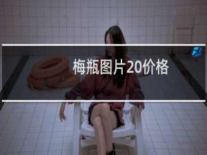 梅瓶图片 价格